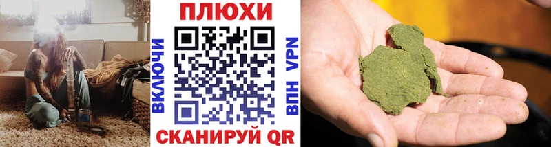 где найти наркотики  Зверево  ГАШИШ индика сатива 