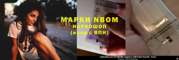 а пвп мука Алзамай