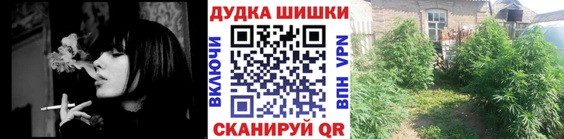 Бошки марихуана Amnesia  Зверево 